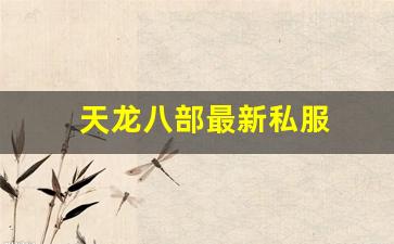 天龙八部最新私服 (14)