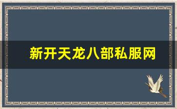 新开天龙八部私服网 (12)