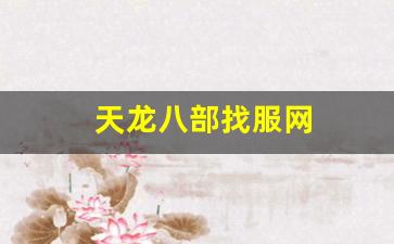 天龙八部找服网(天龙八部公益服) (2)