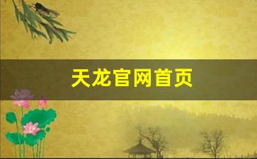 久游天龙八部私服：天龙官网首页(天龙gx)