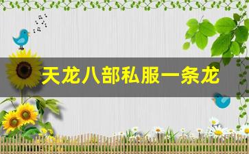 天龙八部私服官网：天龙八部私服一条龙(天龙八部sf架设一条龙) (2)