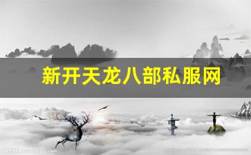 新开天龙八部私服网 (11)