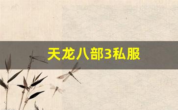 新开天龙八部私服网：天龙八部3私服 (7)