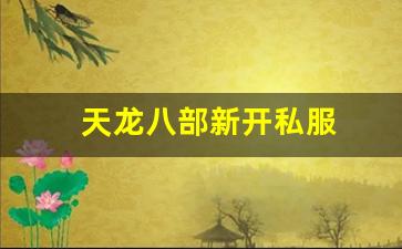 天龙八部新开私服 天龙八部新开私服