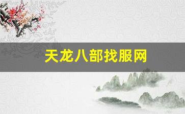 天龙八部找服网(天龙八部开服时间)