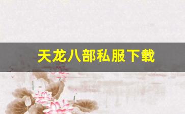 天龙八部私服下载(天龙手游私sf下载) (15)