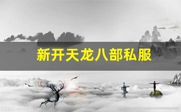 新开天龙八部私服 (6)