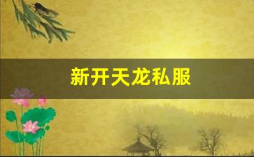 新开天龙八部私服网：新开天龙私服