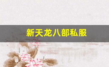 天龙八部私服发布网：新天龙八部私服 (9)