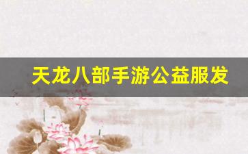 天龙八部发布网：天龙八部手游公益服发布网(天龙八部手游荣耀版)