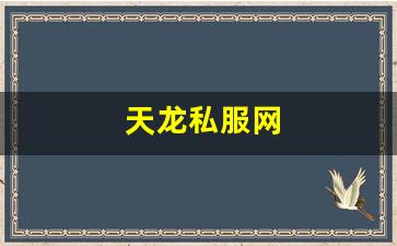 天龙私服网 (11)