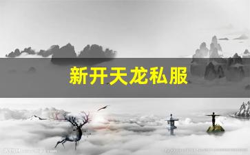 新开天龙私服 (13)