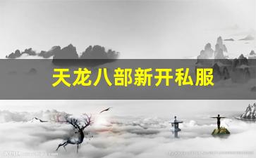 天龙八部最新私服：天龙八部新开私服(天龙八部发布网) (8)