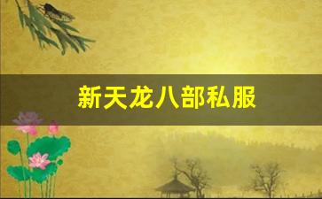 新天龙八部私服 (7)