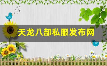 天龙八部3私服：天龙八部私服发布网(天龙八部手游官网)