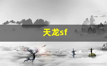 天龙八部2私服：天龙sf(天龙寺) (3)