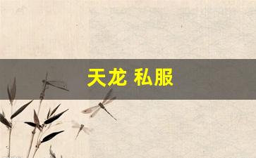 天龙发布网：天龙 私服(天龙手游私sf下载) (2)