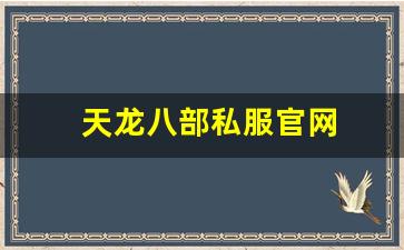 天龙八部私服官网 (9)