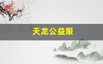 天龙公益服(天龙公益服是什么意思)