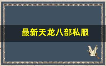 最新天龙八部私服 (13)