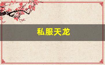 好天龙八部发布网：私服天龙 (5)