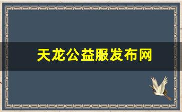 天龙公益服发布网(天龙公益服是什么意思)