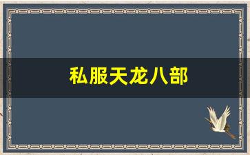 私服天龙八部 (15)
