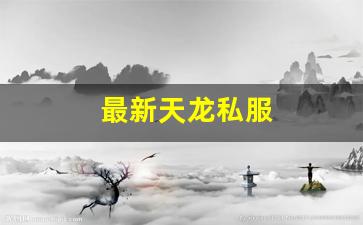 最新天龙私服 (9)