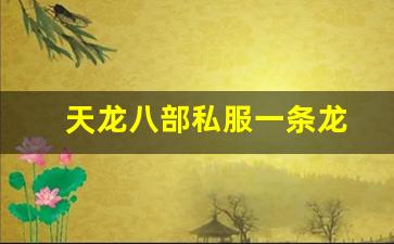 天龙八部私服发布网：天龙八部私服一条龙(天龙八部sf架设一条龙) (2)