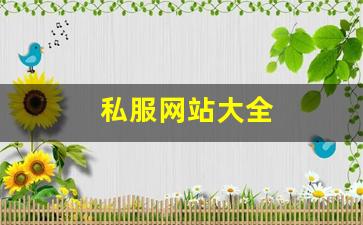 天龙八部最新私服：私服网站大全 (5)