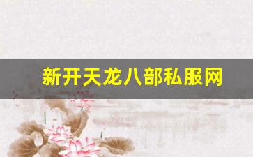 新开天龙八部私服网 (11)