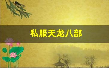 私服天龙：私服天龙八部 (13)
