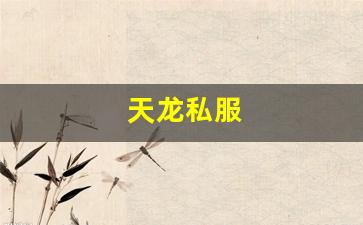 天龙私服(天龙手游) (7) 天龙私服(天龙手游) (7)