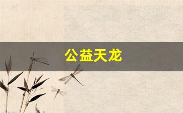 天龙八部sf网站：公益天龙(三年级作文下雪了) (2)