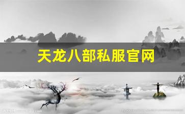 天龙八部私服官网 (16)