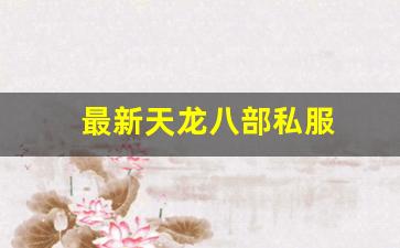 最新天龙八部私服 (4)