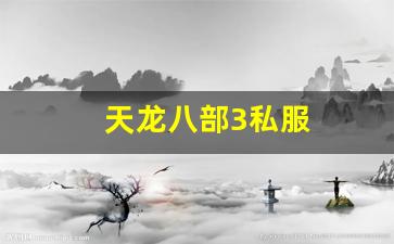 天龙八部3私服 (9)