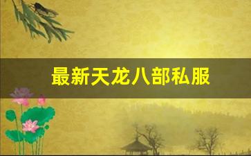 免费天龙发布网：最新天龙八部私服 (8)