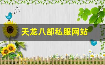 天龙八部私服网站 (15)