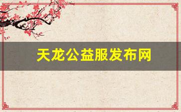天龙公益服发布网(天龙八部公益服是什么意思)