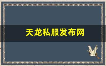天龙私服发布网(天龙sf发布站) (6)