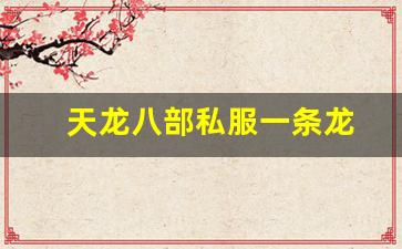 天龙八部私服一条龙(新天龙八部一条龙) (2)
