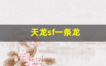 新天龙sf：天龙sf一条龙(天龙八部端游一条龙是什么任务) (2)