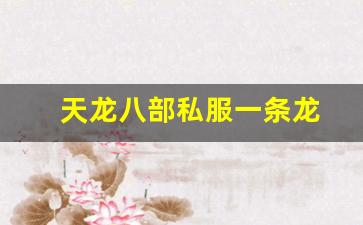 天龙八部私服一条龙(天龙八部怀旧服一条龙) (2)