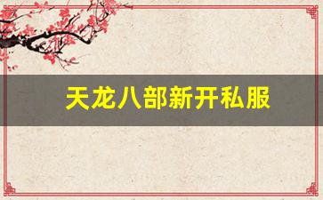 天龙八部新开私服(天龙八部发布网) (16)
