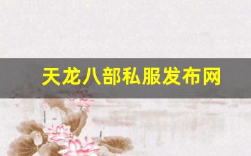 天龙八部私服发布网(天龙八部手游sf最新发布网)