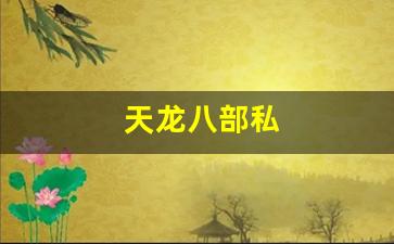 天龙八部私(天龙八部ol) (4)